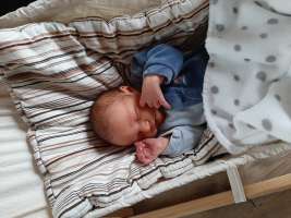 louis